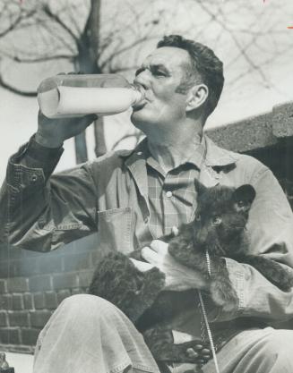 Man with a king-size kitten. Zoo attendant Sam Heaney steals a sip from bottle of milk before giving the remainder to Cindy, a black spotted leopard b(...)