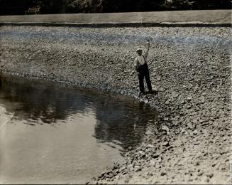 What the heat wave did to Toronto's water supply