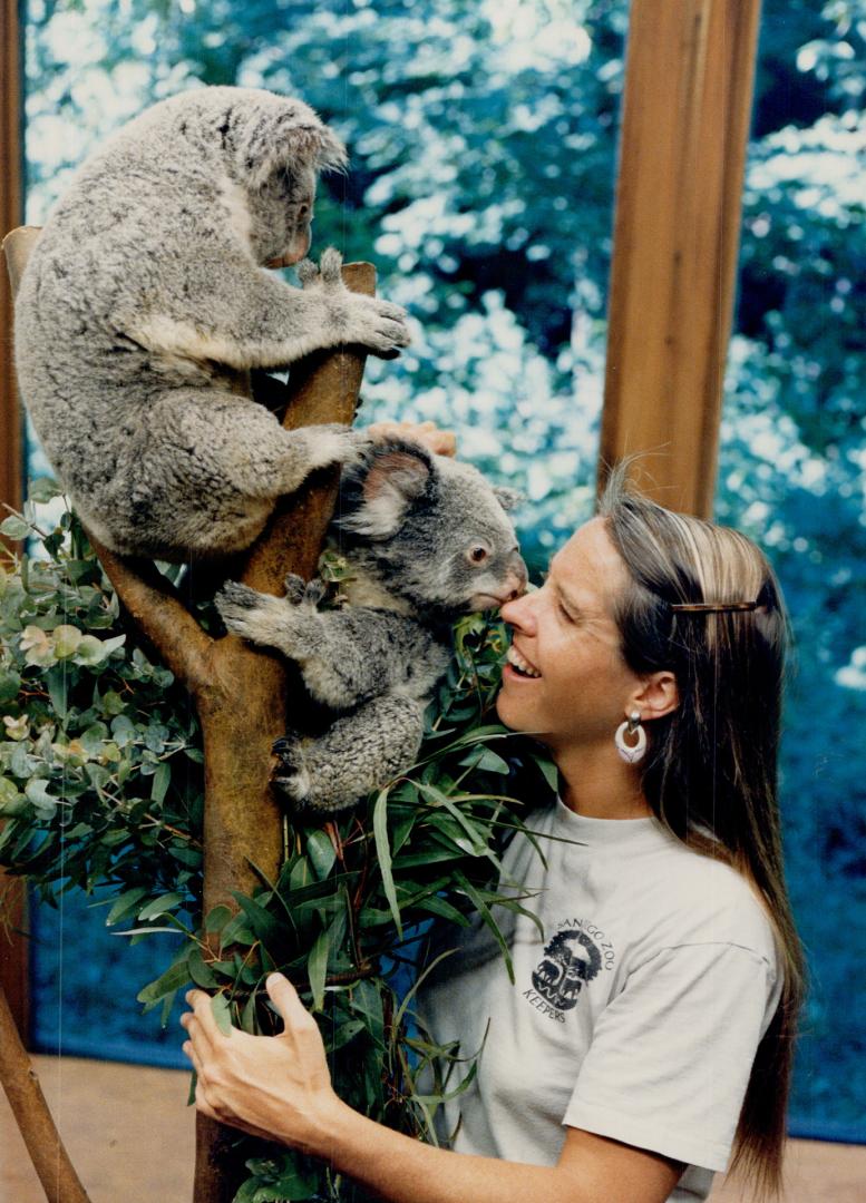 How about a cuddle, nuzzle? Nutsy (top) and Point Blank keep on the good side by Valerie Thompson, senior mammal keeper from the San Diego Zoo. She is(...)