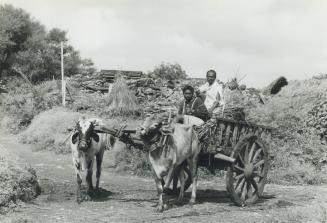 Earthquakes - India