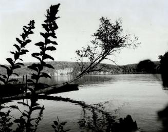 Threatened: Ontario rivers, forests, and lakes, such as Diamond Lake, above, located about 100 kilometres northwest of North Bay, are threatened by acid rain