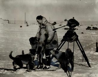 Byrd's huskies greet the admiral on his return to Little America after an expedition into unknown territory