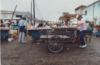 Cholera, Peru - seafood is still being sold in Lima, despite being contaminated with cholera