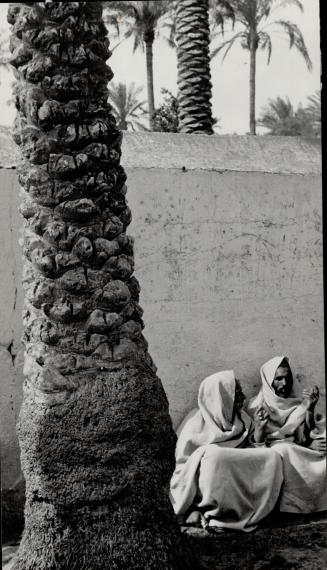 In Tripoli, the former Italisn rulers are gone, but date palms remain and provide shade for a siesta or a tete-a-tete