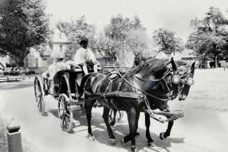 High-stepping team of carriage horses drawing sightseers through Colonial Williamsburg gives one more authentic touch to one of the best reconstructio(...)