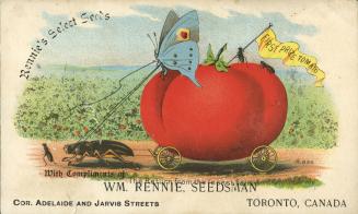 Whimsical illustration of a tomato that is on wheels to resemble a horse drawn carriage, with a…