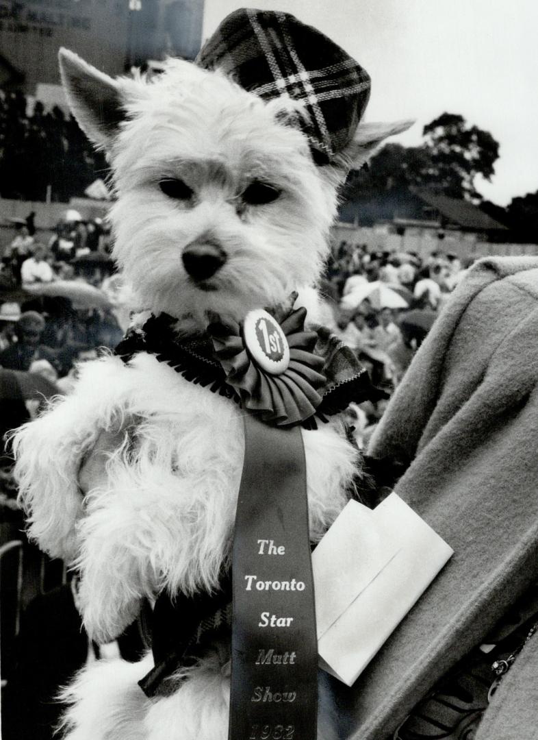 450 mutts put on doggone good show, It was a tough job but 16 judges at The Toronto Star Mutt show yesterday managed to select an array of winners - f(...)