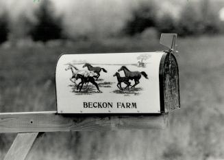 Here is the elegant home Dan Beckon built for his family near Bolton as one of Canada's leading jockeys