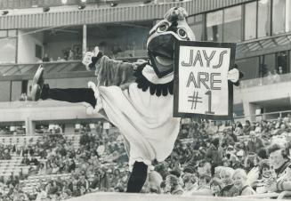 He's for the birds, For the Blue Jays, that is