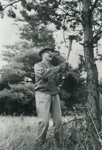 Former Mayor of Toronto, William Dennison, wields his axe on his 50-acre farm near Caledon East