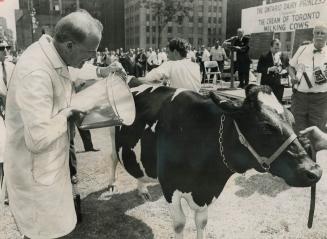 An old cow hand with political pull