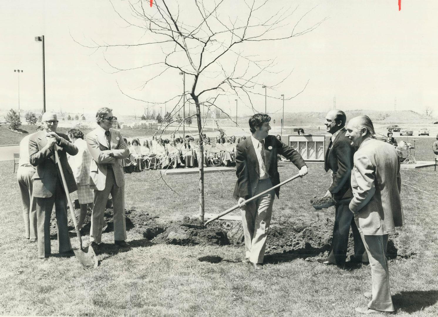 Arbor Day in Mississauga. Mayor Martin Dobkin plants a sunburst loust tree in front of city hall yesterday to inaugurate Arbor Day in Mississauga. Cer(...)