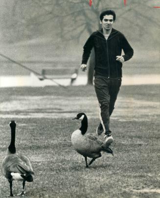 For the birds? Jerome Dryton of Toronto Olympic Club trains in the hills of High Park for Monday's Boston Marathon