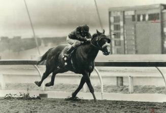 Lloyd Duffy sends Redeys Ray home