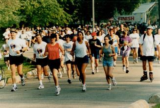 Terry Fox, Wilket Creek