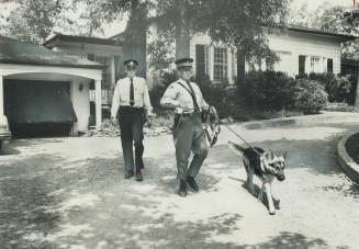 Police with dog seek Missisauga murderer, Ontario Provincial Police Constable John Foley and the tracking dog Yoco join the search for the person who (...)