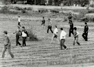 Searchers at work