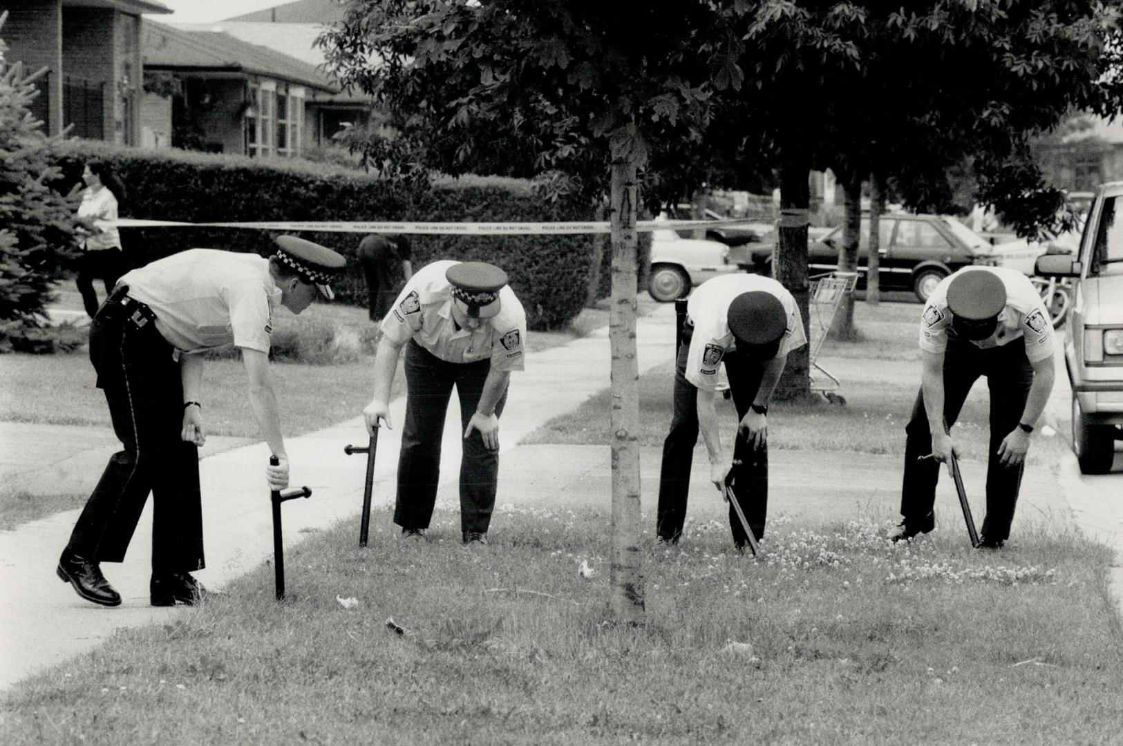 Searching for clues. Police officers prod the ground with their batons yesterday in an intensive search for evidence on Eaglemount Crescent in Mississ(...)