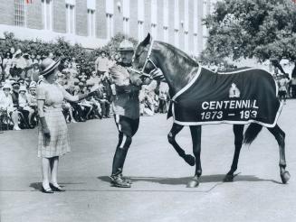 A tall Mountie in red serge holds a large beautiful black horse whose blanket reads Centennial,…