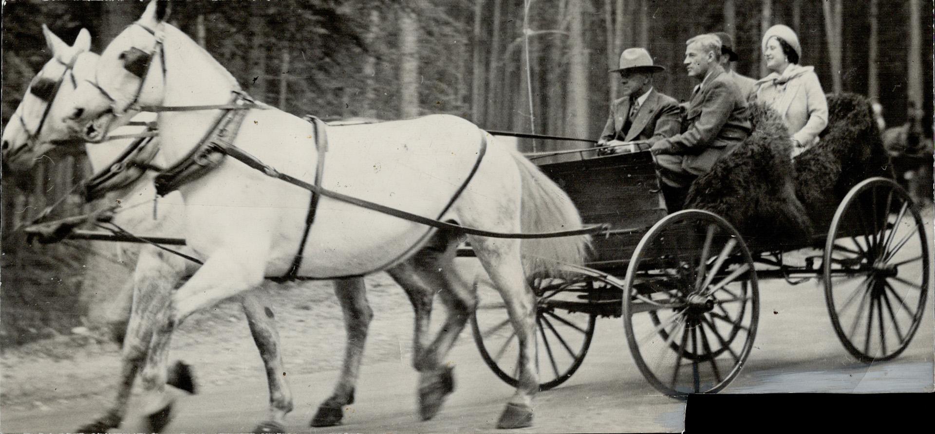 Democrat, buckboard or buggy? - Observers differed as to the identity of this carriage in which the King and Queen were taken for a pleasant drive alo(...)