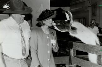 The Duchess of York tours the Royal Winter Fair yesterday with Ken LaSaile, owner of Tony the Ilama