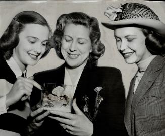 Dehydrated Orchid from Princess Elizabeth's wedding cake is held up Julia Clements from England as Virginia Cullen and Maxine Purvis examine it. [Incomplete]