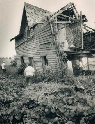 Missing: Volunteers search an abandoned farmhouse south of Kincardine for Lois Hanna, who disappeared from her home in the small Lake Huron town a week ago