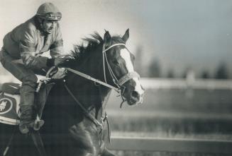 Canadian race great is back in the saddle and seeking more glory at Woodbine racetrack despite cancer battle