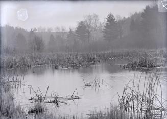 Humber River , near Lambton