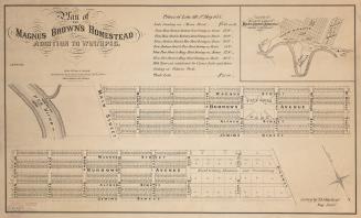 Plan of the Magnus Brown's Homestead addition to Winnipeg