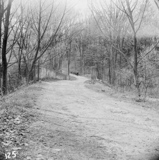 Image shows a road view with trees on both sides.