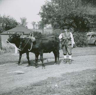 Image shows Charles Morland and a few cattle at Dalziel farm, northwest corner Steeles Avenue a…