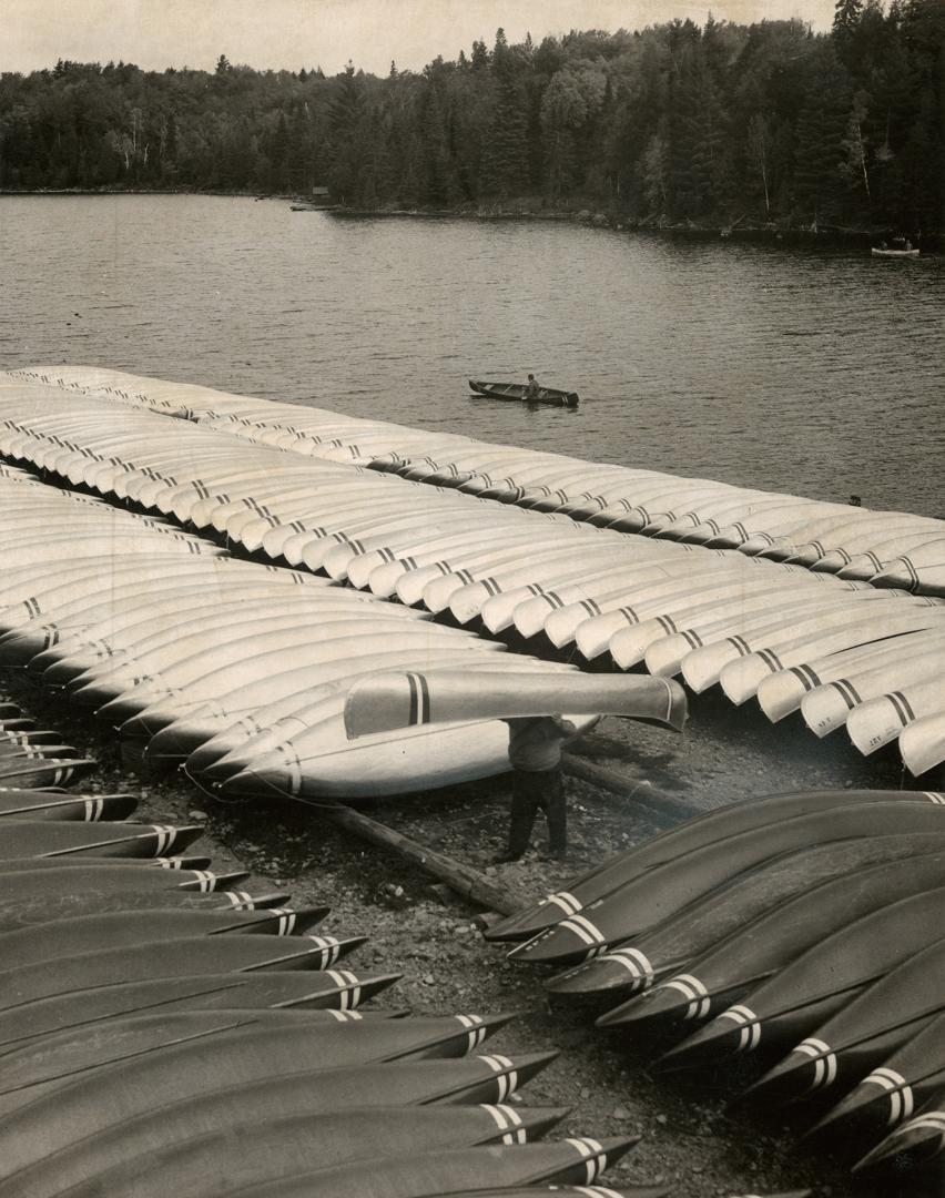 Visitors to Algonquin Park can rent canoes and travel throughout the 1,862,402 acres of the park, but campers, who make up 80 per cent of the park's users, are restricted to a 60-mile arc on its southern border.