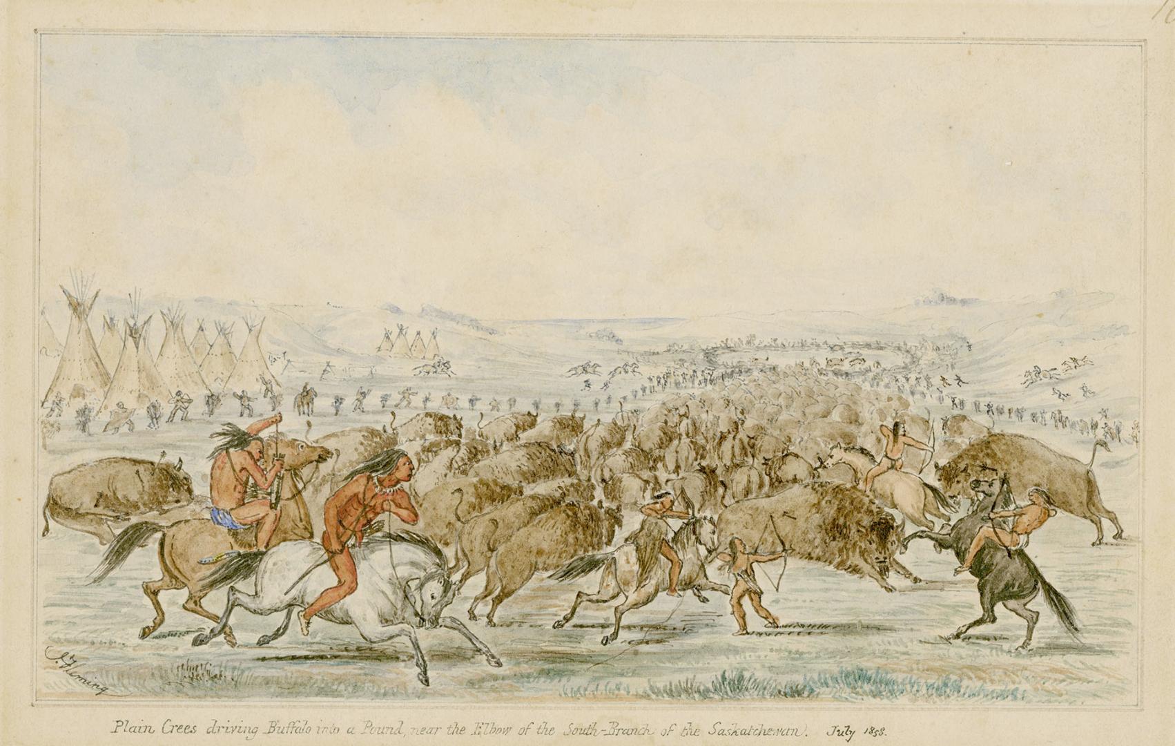 Plain Crees driving Buffalo into a Pound, near the Elbow of the South Branch of the Saskatchewan, Saskatchewan