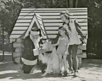 Happy girl meets Snowbo, the white Eskimo dog