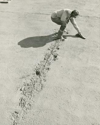 Workman smooths concrete for roadbed of an approach to the new Skyway