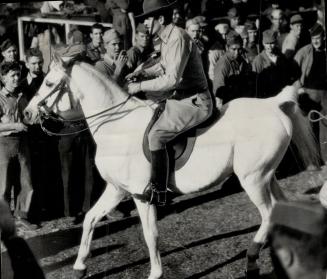 First white man credited with riding one of Emperor Hirohit's white horses is Lieut