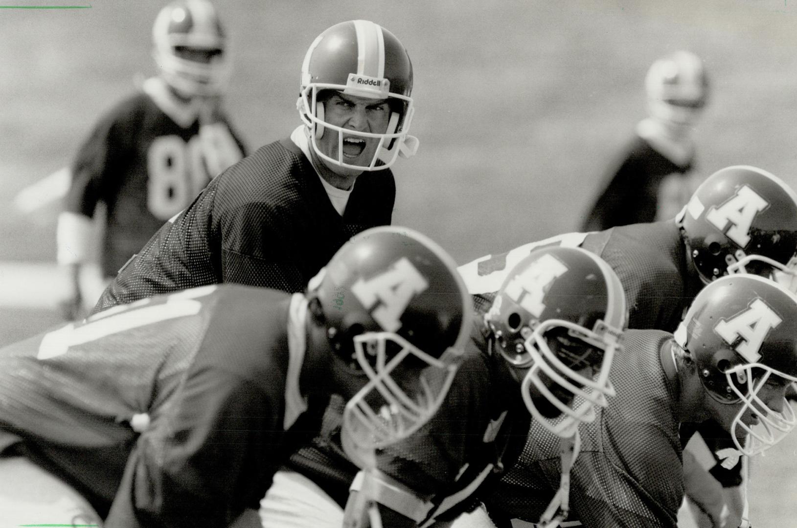 No mike for Mike: Argo QB Mike Kerrigan barks out his signals to the offence as Toronto continued preparations for its game tomorrow night against the Ticats