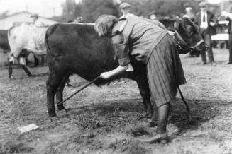 Middlesex County calf competition, Western Fair