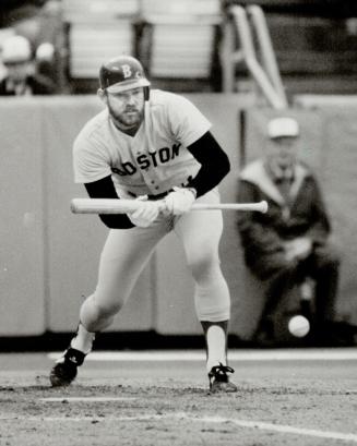 The soft touch. Boston's Jeff Newman is all concentration as he deftly drops a bunt in yesterday's game. Not deft enough, though, as ball rolled foul (...)