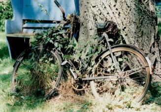 Abandoned bicycle