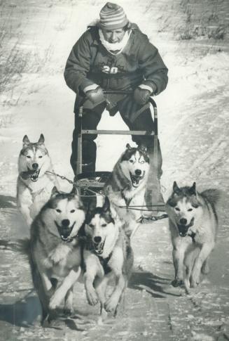 Mush! A husky team sprints along a course, coaxed on by Tom LeBlanc, at husky sled dog trials at Cold Creek Conservation area near Bolton Saturday. Mo(...)