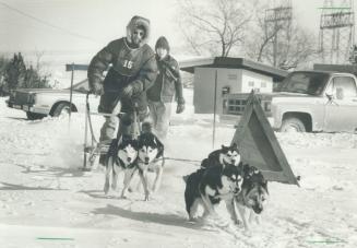 Mush, you huckies! A team of sled dogs lunges into the harness on the gosled course in trials organized by the Siberian Husky Dog Association Saturday(...)