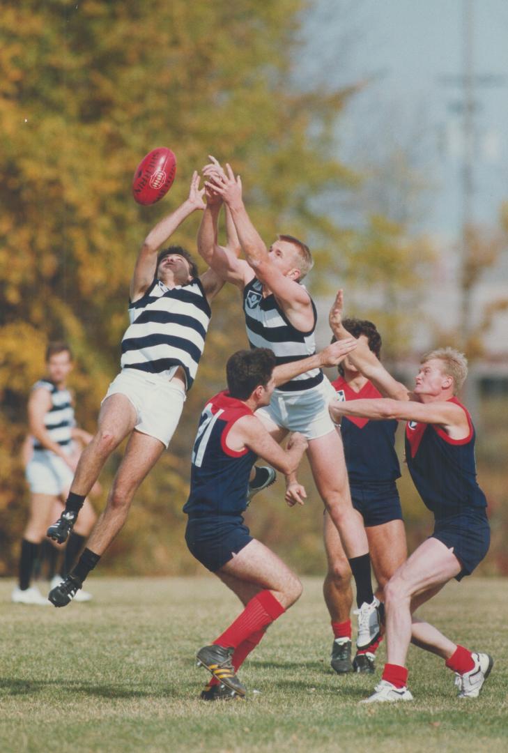 Ballet, Australian Style. Members of the Toronto Panthes (striped shirts) and Mississauga Mustangs battle for the ball during the Canadian Australian (...)