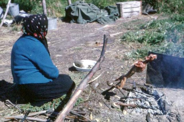 Rabbit cooking over campfire