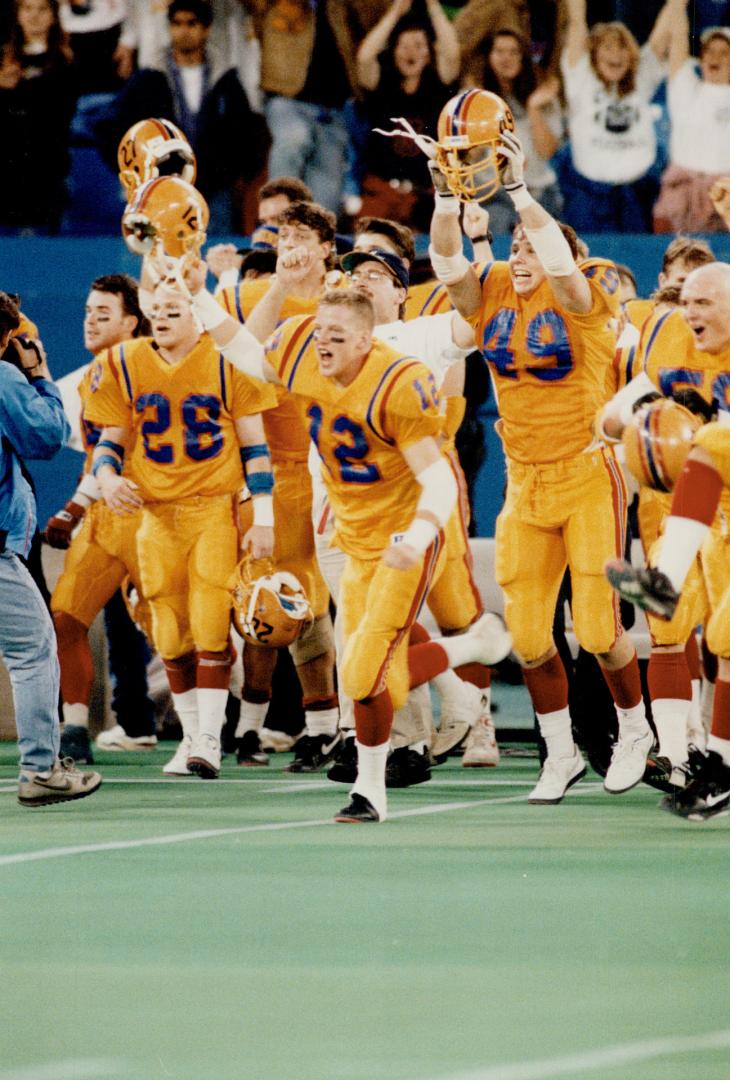 Golden moment: The Queen's Golden Gaels rush on to the SkyDome field to celebrate their victory over the Guelph Gryphons in the Churchill Bowl yesterday