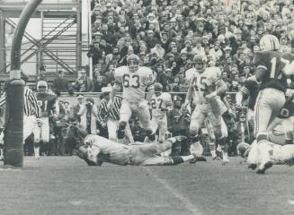 After catch, Mckinnis sprawled over goalline with teammates Larry Boleski, Basil Bark (45) and Uriel Johnson (27) waiting to congradulate him. Larry R(...)