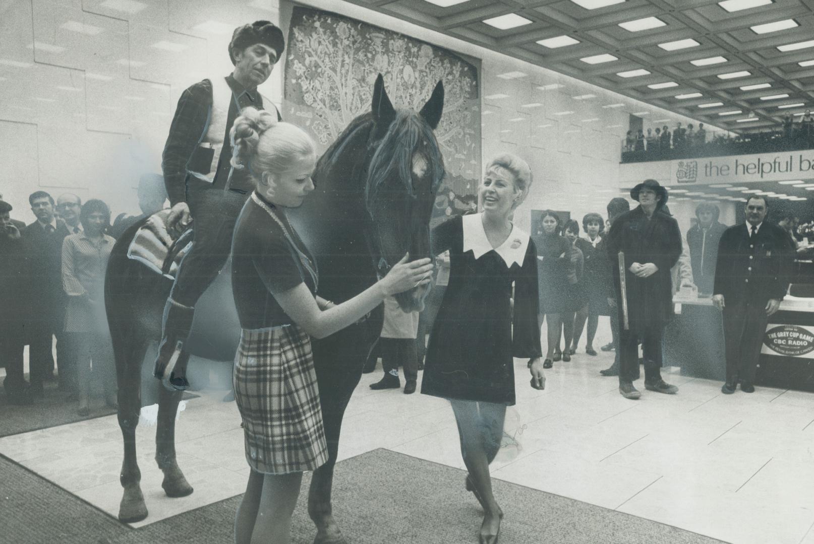 Not to be outdone by Grey Cup fans from Calgary, who in the past have tended to ride horses into unusual places during the pre-game hoopla, easterner (...)