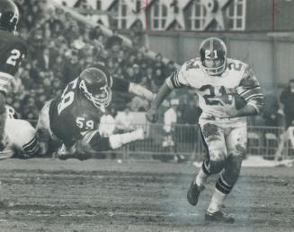 Wayne Giardino is man Ottawa finally picked to replace Vic Washington, their injured halfback