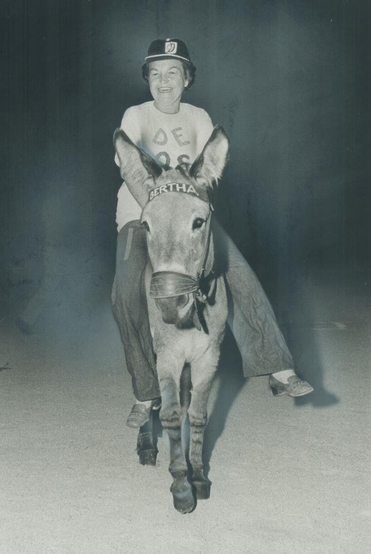 This is Baseball? Streetsville Mayor Hazel McCallion and Bertha the donkey round the bases yesterday in a donkey baseball game between Town Council an(...)